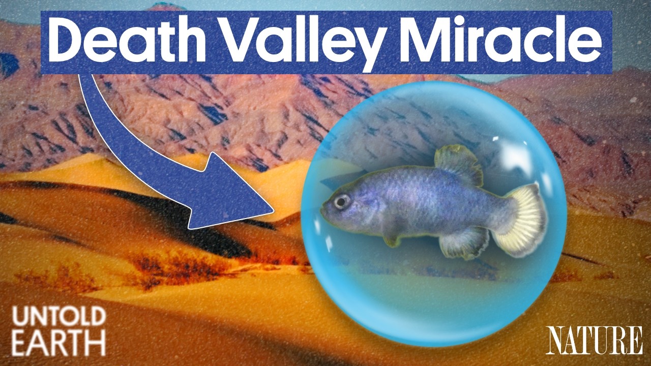 YouTube post by @pbsterra for PBS. Caption reads: Why The World’s Rarest Fish Is Trapped In The....