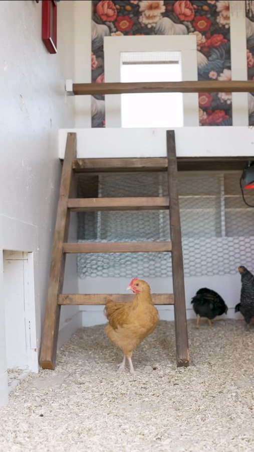 Instagram post by @john.ramos for Grubbly Farms. Caption reads: [...] 🐥 [ad]⁣ ⁣ ⁣ ⁣ ⁣ ⁣ I gave them @grubblyfarms....