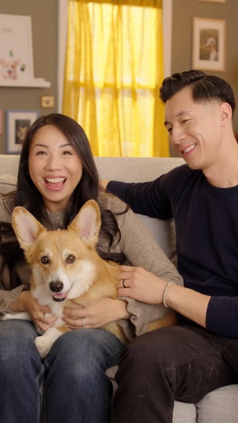 Instagram post by @dash_and_furrious for blue buffalo. Caption reads: [...] vet visits to what’s in his bowl. Blue....