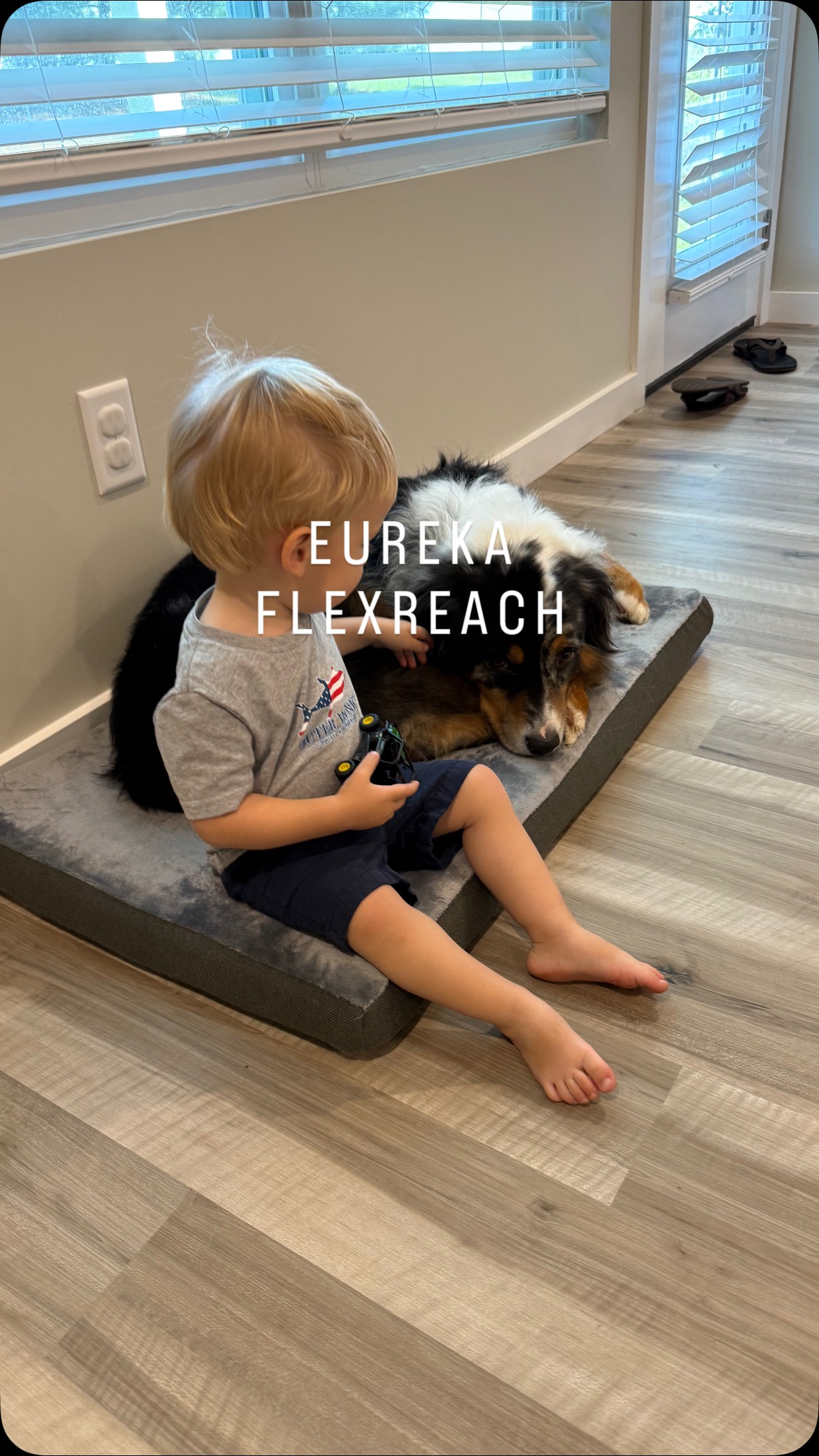 Instagram post by @bluewaterhome for Eureka. Caption reads: [...] click my bio to get the same product....