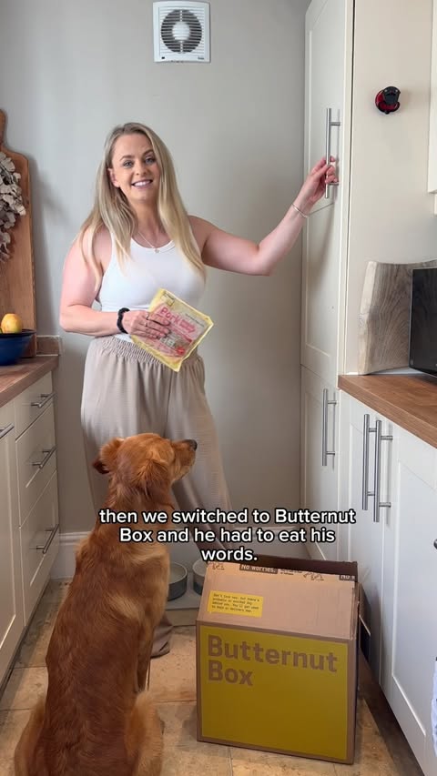 Instagram post by @_foxredfred for Butternut Box. Caption reads: Fred LOVES his Butternut Box meals - he’s a....