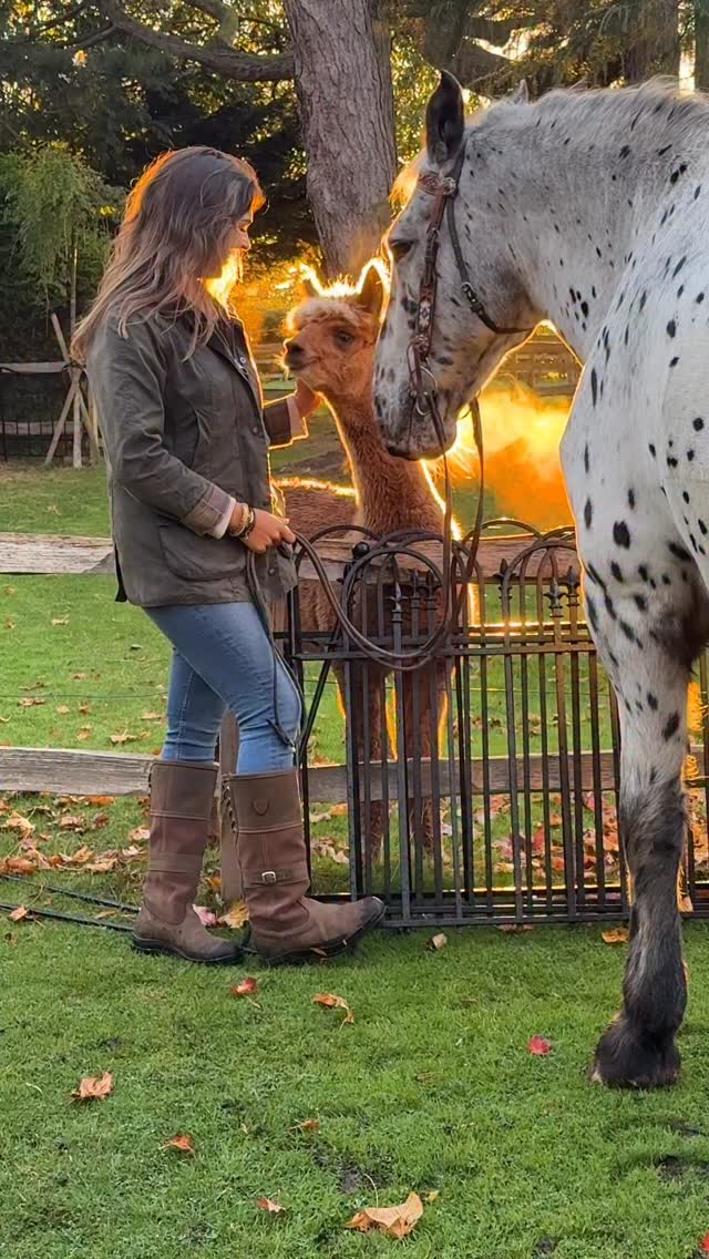 Instagram post by @indiakatona for Barbour. Caption reads: A sneak peek at behind the scenes of a very....