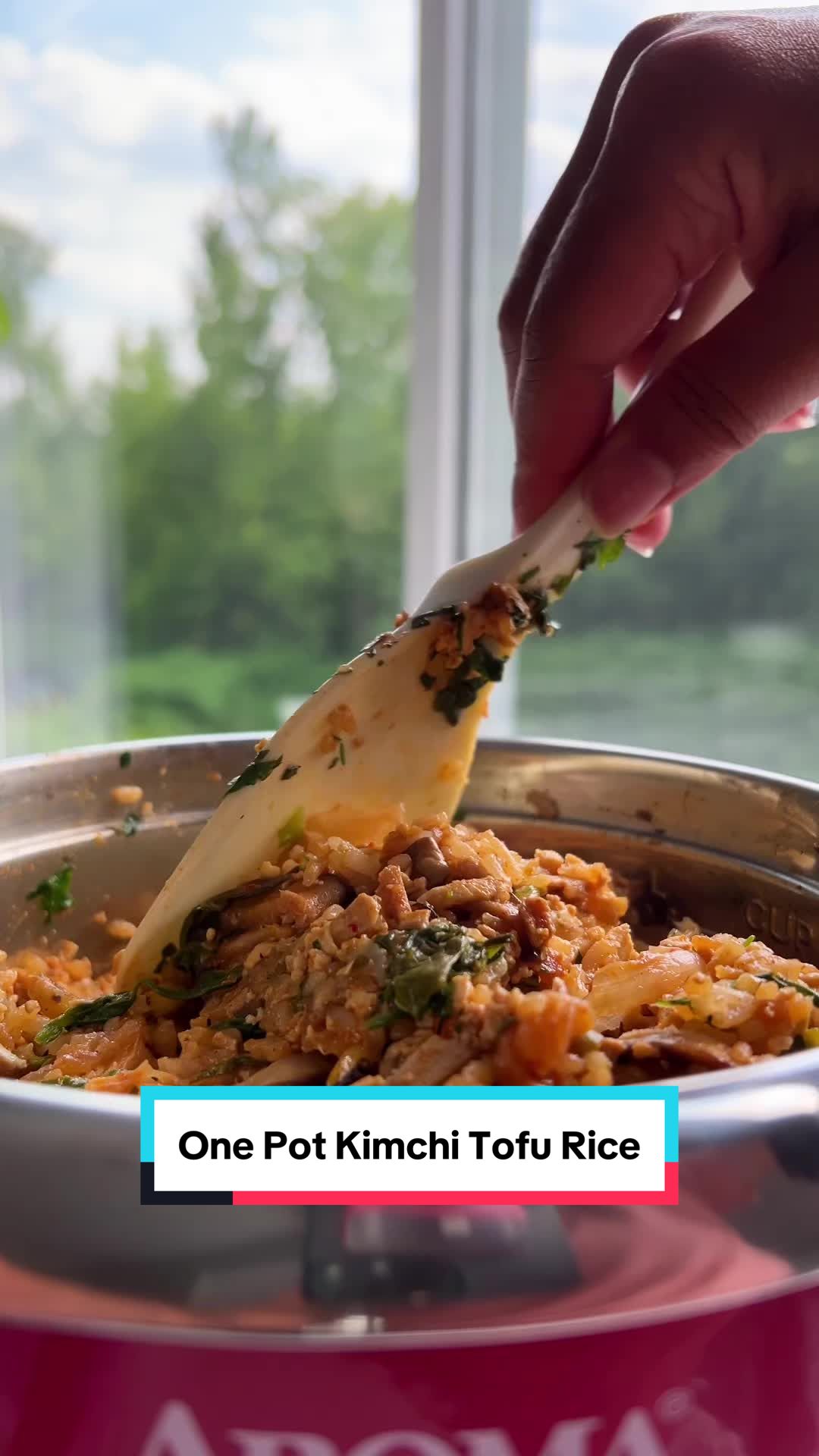 TikTok post by @plantbasedrd for Nasoya. Caption reads: 🍚 A full meal you can cook with just your rice....