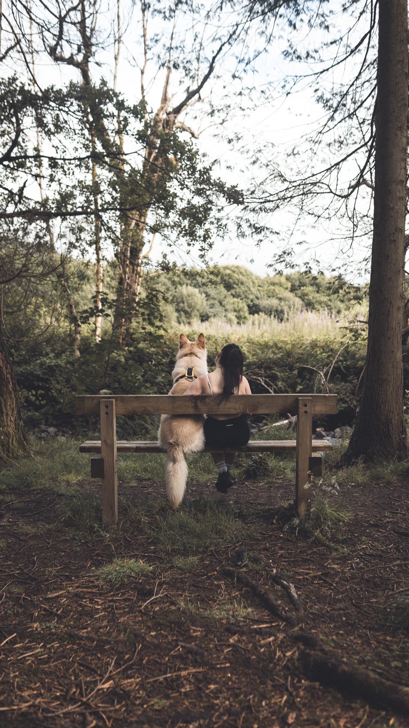 Instagram post by @cooperthewhitewolf for Thrudark. Caption reads: When I actually sit and think about life, I am....