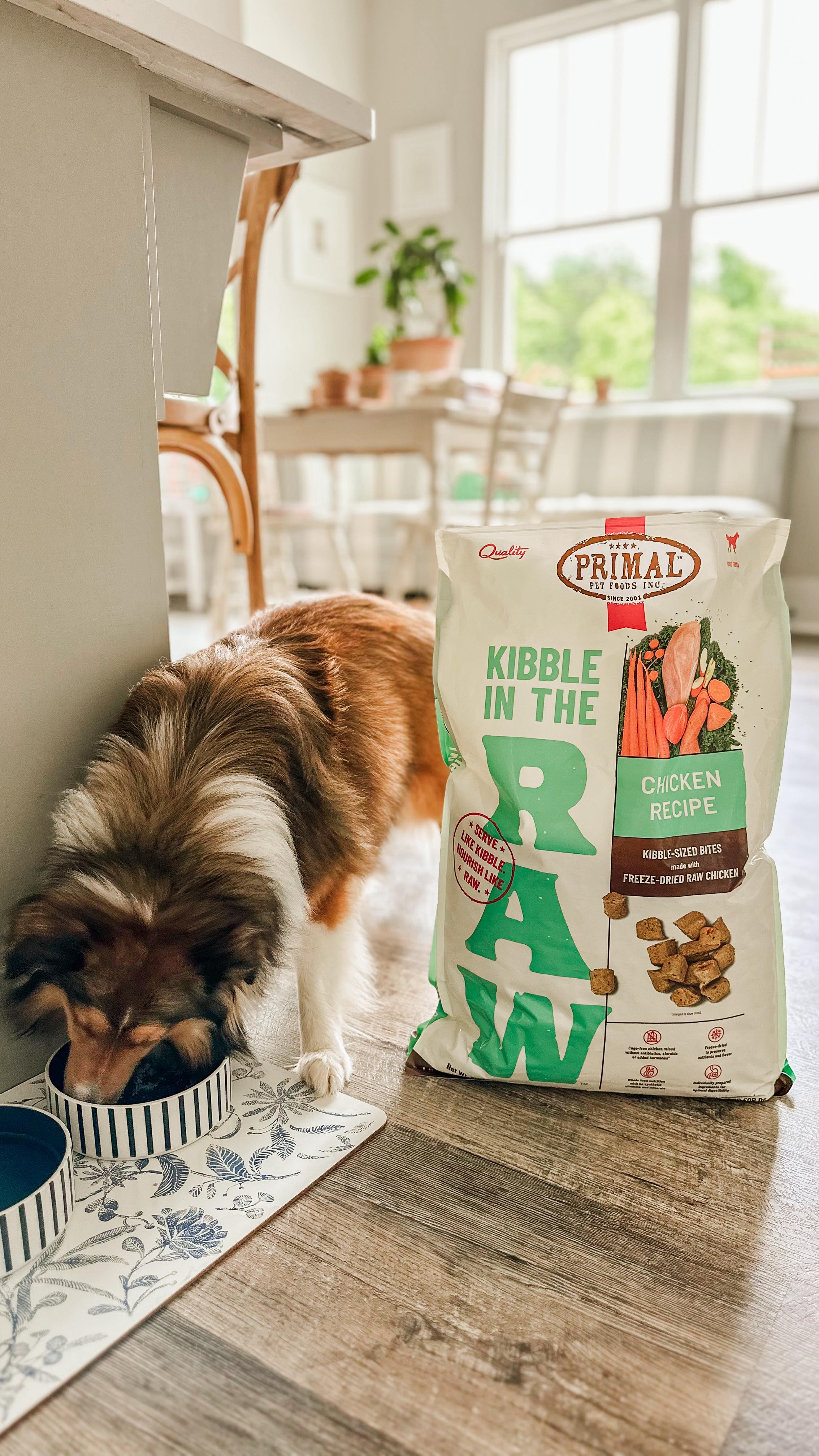 Instagram post by @peachestopearls for Primal Pet Foods. Caption reads: He can’t tell me what he needs. But I’ve learned....