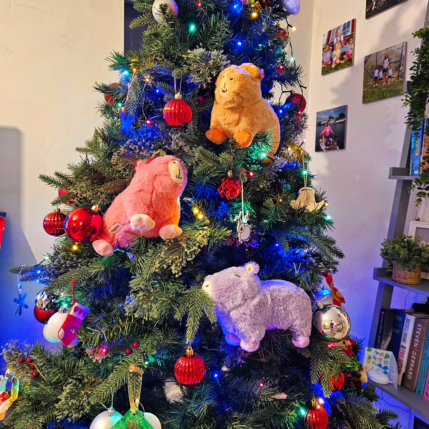 Instagram post by @rosalie_remmy for Capy Era. Caption reads: Capybara love @capyera 🫶 

Ad| Capybaras were....