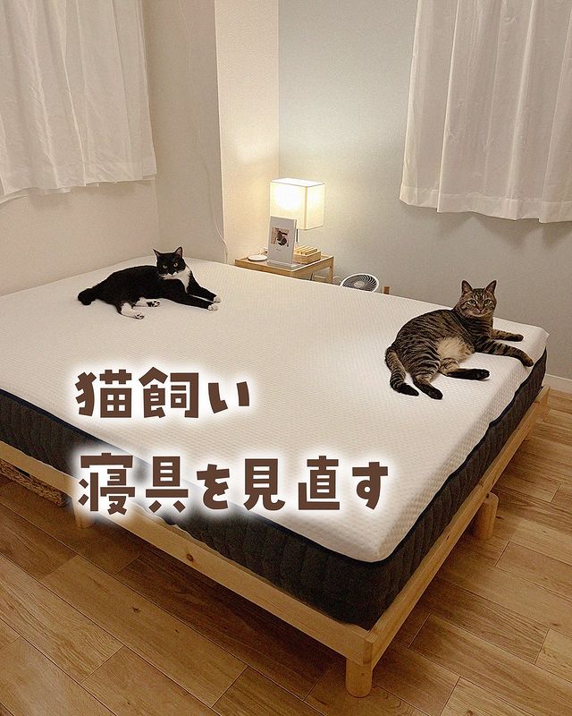 Instagram post by @ponhiro_life for Emmasleepjapan. Caption reads: 猫たちとはいろんな寝方をする

%←みたいに人が斜めになって寝ることもある🤣

りくとそら、それぞ....