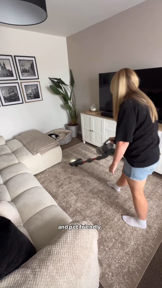 Instagram post by @loushomelife for The Rugs. Caption reads: This rug kept showing up on my For You page, and....