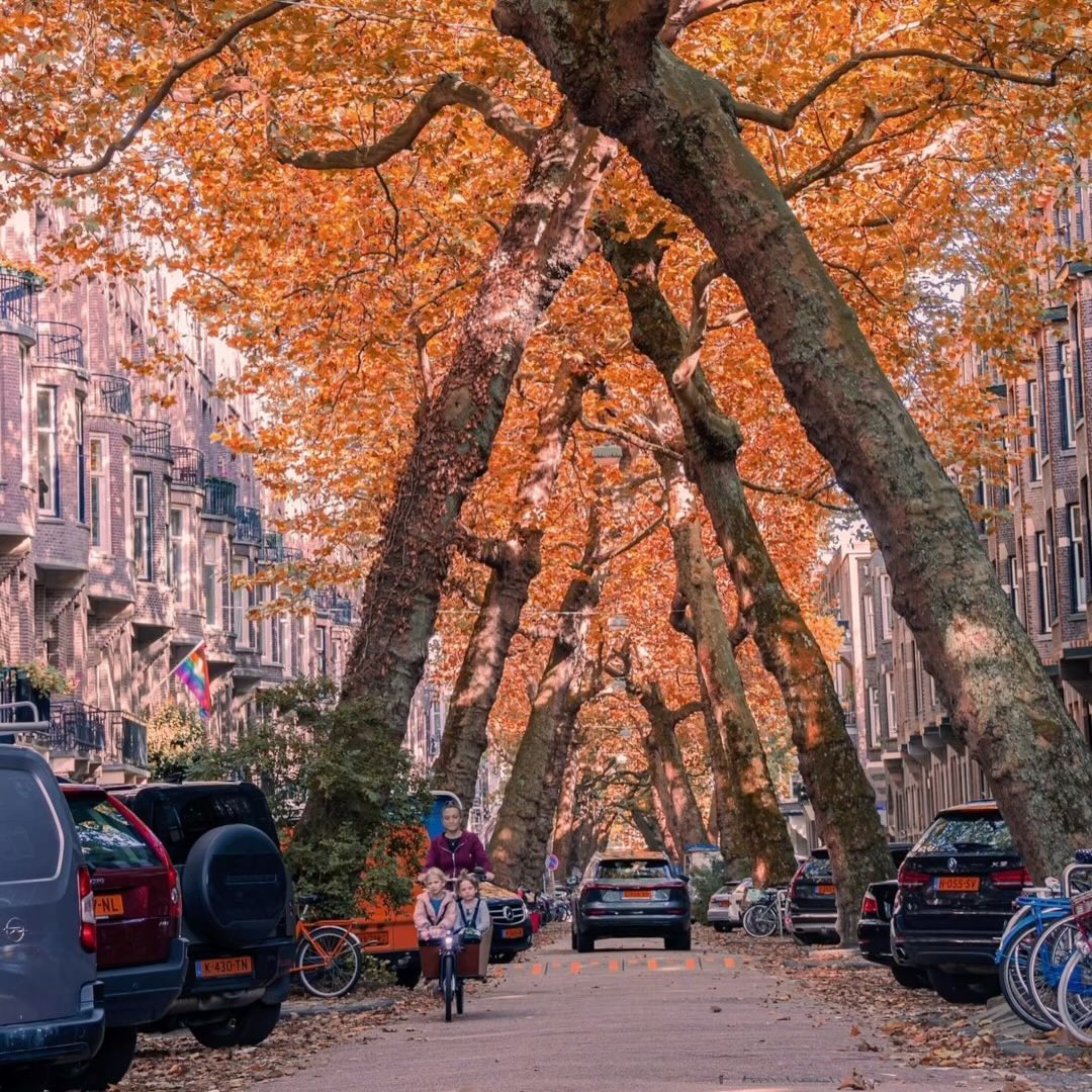 Instagram post by @ssernets for Woodford Reserve. Caption reads: Yesterday, I kicked off Old Fashioned Week in....