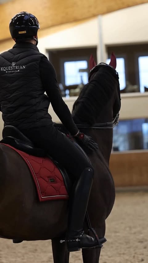 Instagram post by @harrisonashton1 for EQUESTRIAN STOCKHOLM. Caption reads: [...] 🔥 @esstockholm Love Weeks at Equestrian....