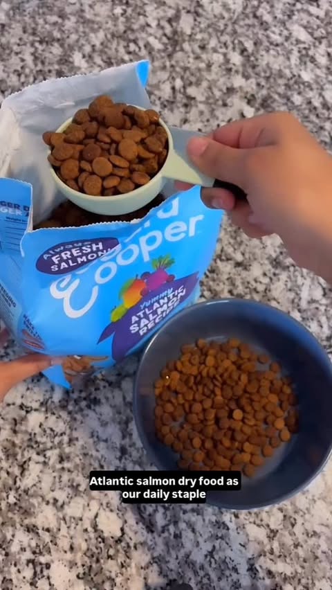 Instagram post by @ohsosona for Edgard & Cooper. Caption reads: #EdgardCooperPartner #AD As we all know, Glacier....