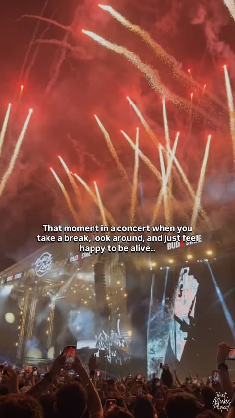 Instagram post by @thatmusicproject for Rolling Loud. Caption reads: concert = therapy.. love u @rollingloudindia.