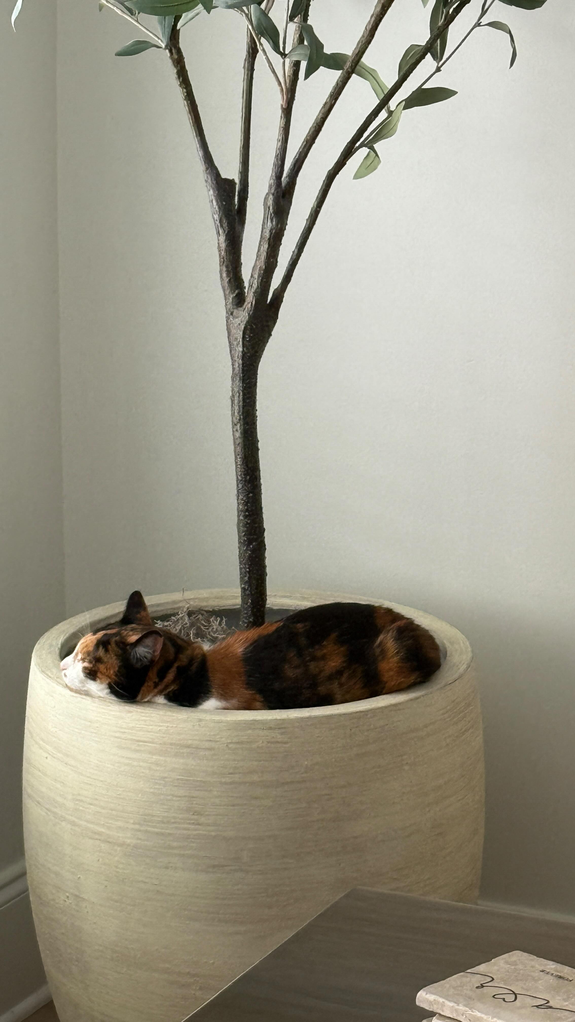 Instagram post by @aylaelizabeth for Fancy Feast. Caption reads: #ad I have a partnered with @Target and....