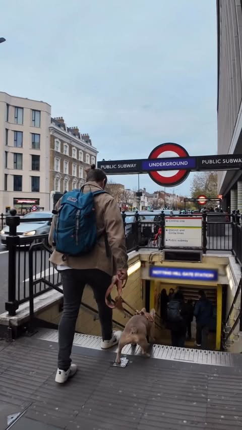 Instagram post by @tj.the.frenchie for HotelTonight. Caption reads: [...] with your dog 🐾 

And with the....