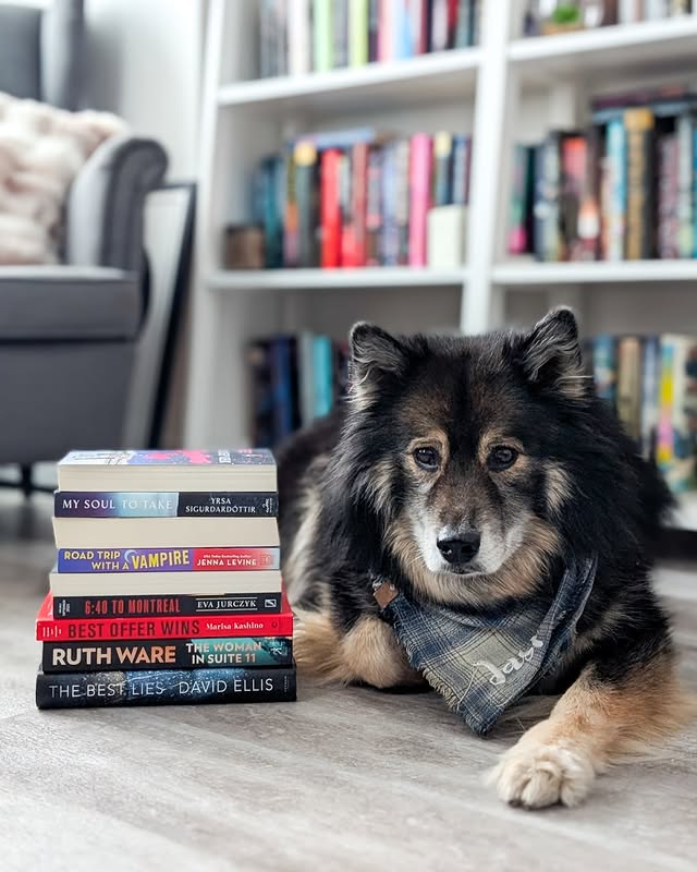 Instagram post by @plotspawspinot for Celadon Books. Caption reads: 🍂 NOVEMBER READING WRAP UP 

𝗕𝗼𝗼𝗸𝘀 𝗥𝗲𝗮𝗱:....