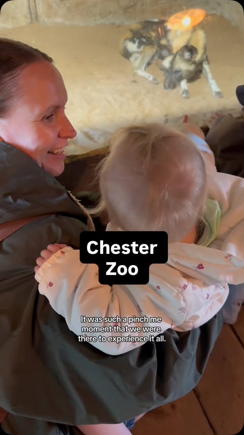 Instagram post by @lifewithdaphneandsuzie for Chester Zoo. Caption reads: [...] Monday, is just crazy!! @mynightlark....