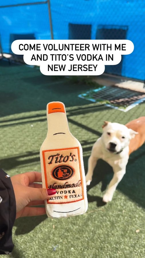 Instagram post by @christineelliza for Tito’s Handmade Vodka. Caption reads: Huge thanks to my sponsor @titosvodka for inviting....