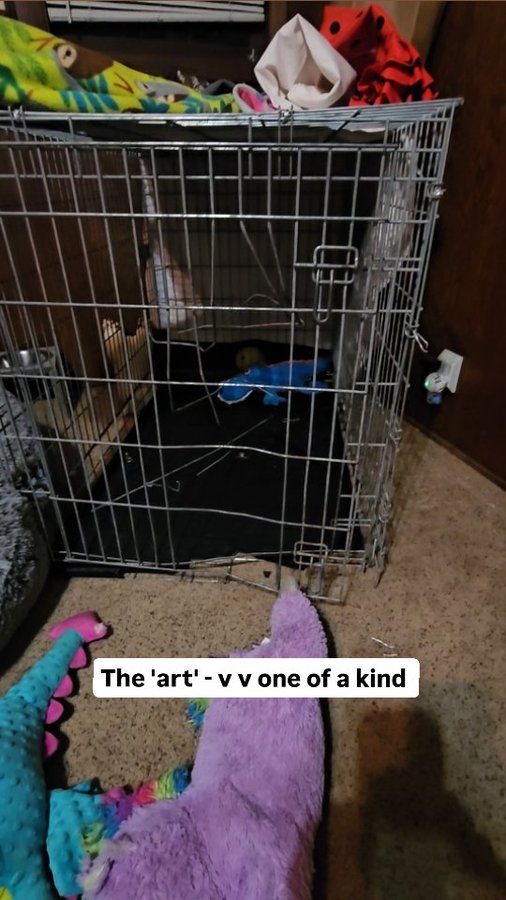 Instagram post by @maisythebarnhippo for Impact Dog Crates. Caption reads: [...] wouldn't do for her going forward.....