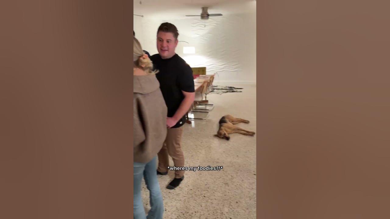 YouTube post by @CactusTheRescue for Open Farm Pet. Caption reads: [...] way to celebrate than with his new....