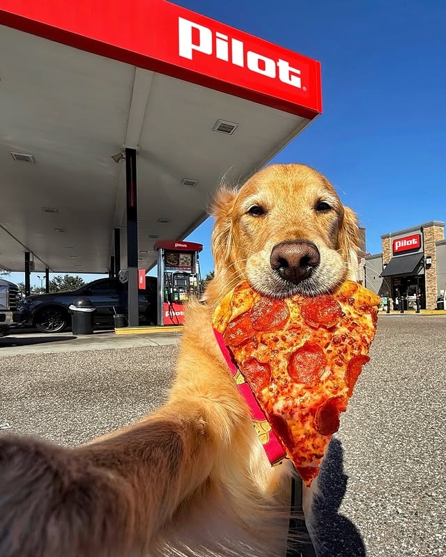 Instagram post by @the_goldendonut for Pilot Flying J. Caption reads: [...] Happy National Pizza Day!🍕 Today,....