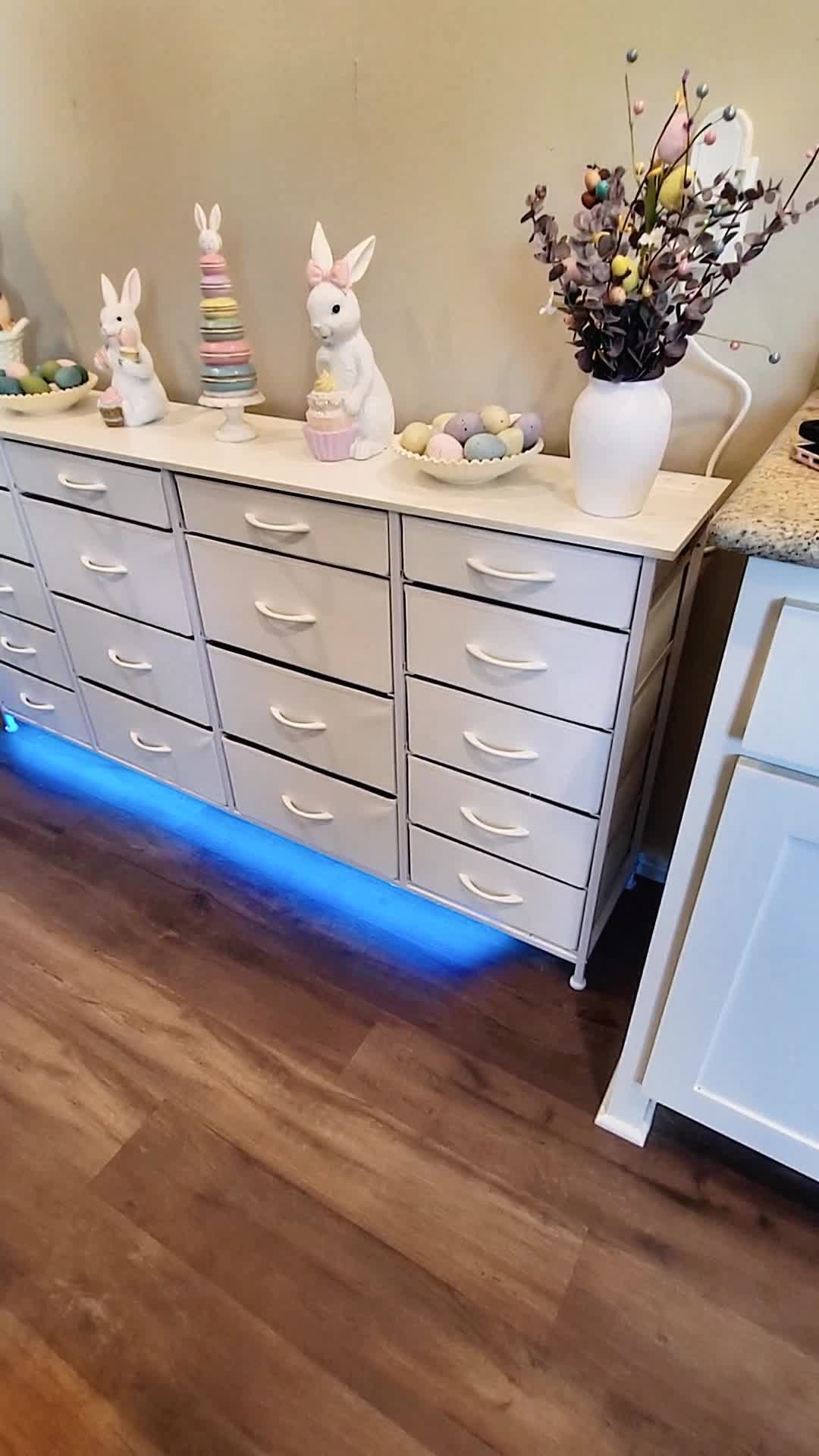 TikTok post by @coyotefun for RaybeeOfficial. Caption reads: [...] #raybeefurniture #raybeedresser....