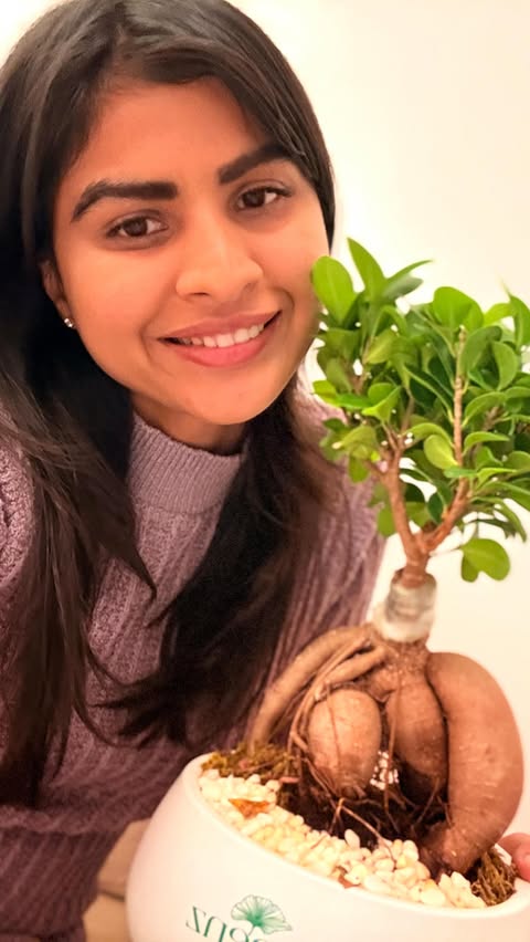 Instagram post by an influencer for Danube Properties. Caption reads: [...] @rizwan.sajan @danubeproperties [ Greenz by....