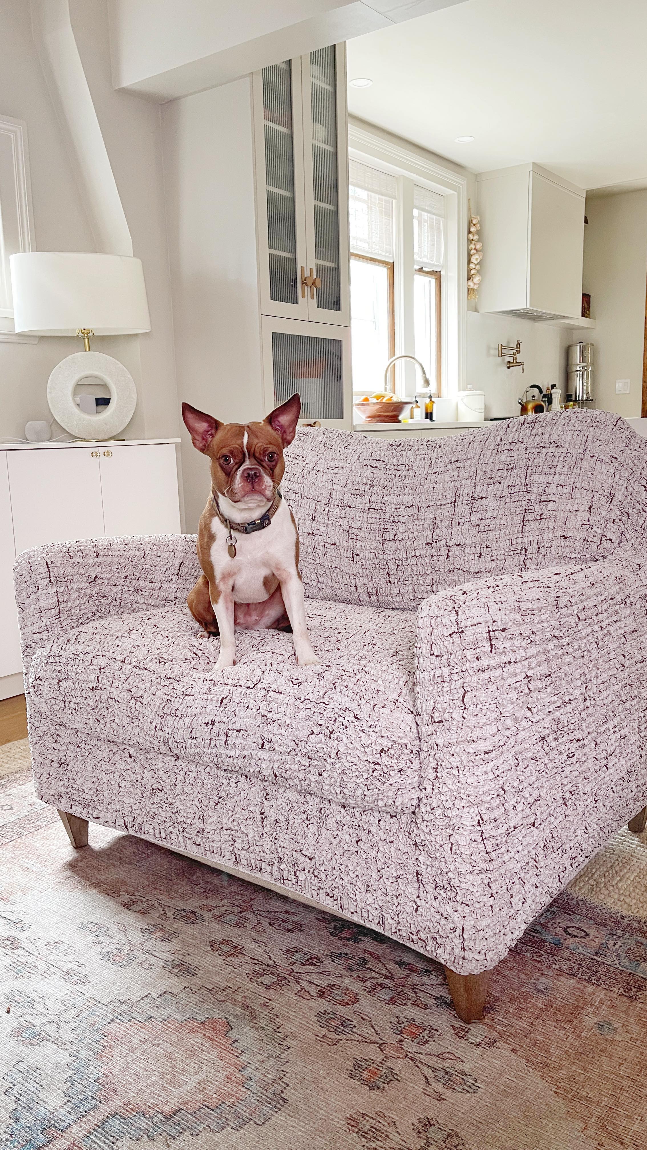 Instagram post by @diymom.ca for Mamma Mia Covers. Caption reads: [...] chair and a half—now protected with....