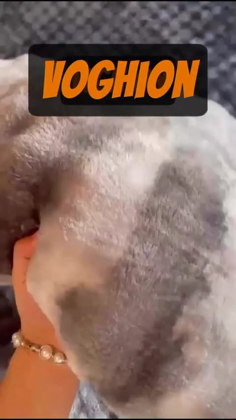 Instagram post by @greyson_alteo_necaj for Voghion. Caption reads: I love this 🤩🤩 @voghion_global 

November 18th,....