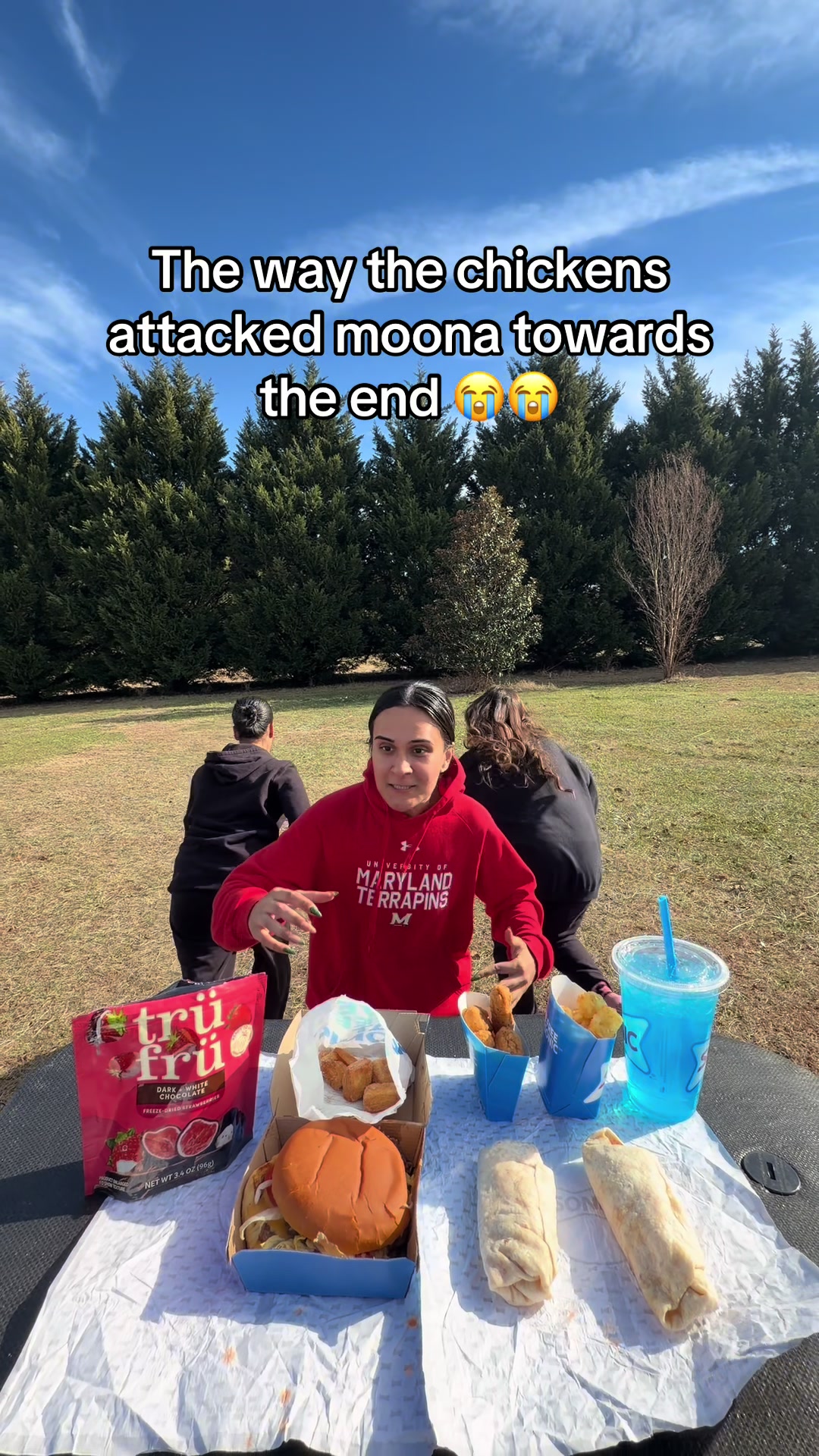 TikTok post by @sistersisterzz for Tru Fru. Caption reads: [...] @Taaabbbyy @needalivinlife @Trü Frü....