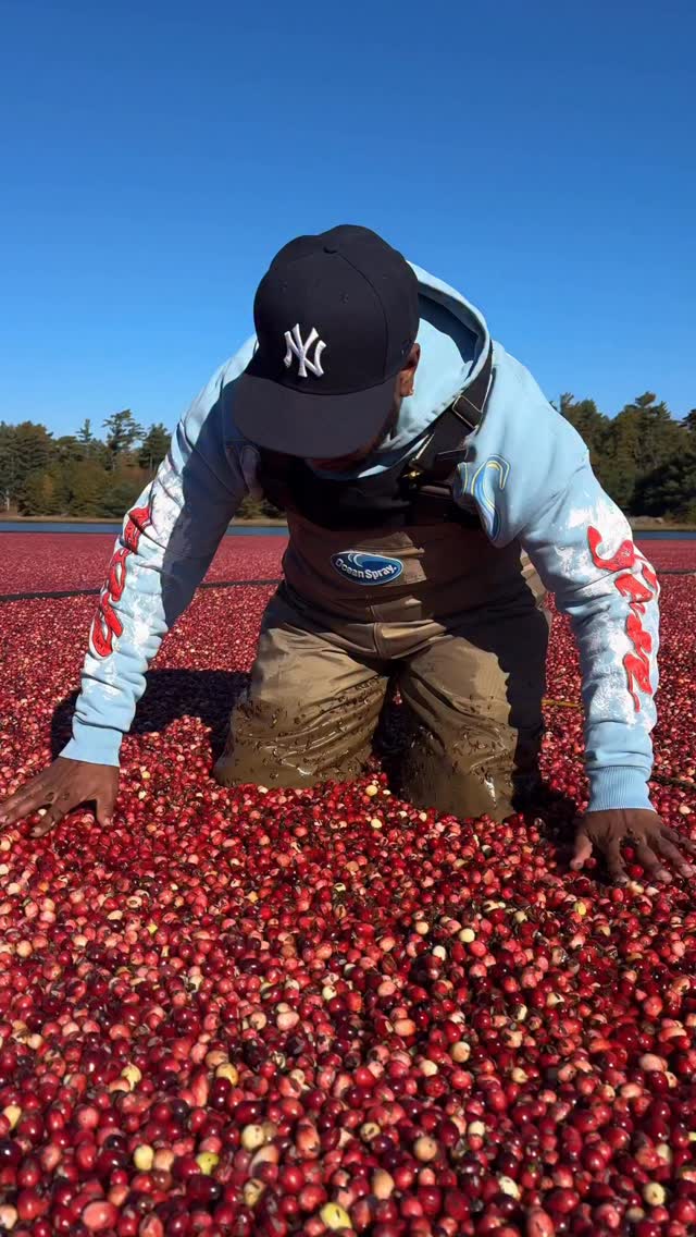 Instagram post by @daronthechef for Ocean Spray. Caption reads: Cranberry Bogging with @oceansprayinc 😮‍💨. I....