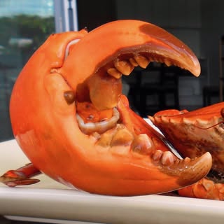 Queensland Foodies Network