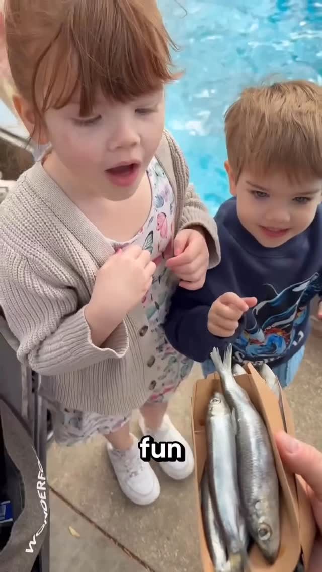 Instagram post by @austingeter for SeaWorld. Caption reads: [...] + snacks = a great family day at....
