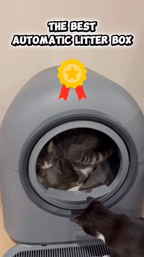 Instagram post by @soccercatmom for Hholove. Caption reads: [...] and by far it’s been the best. It’s the....