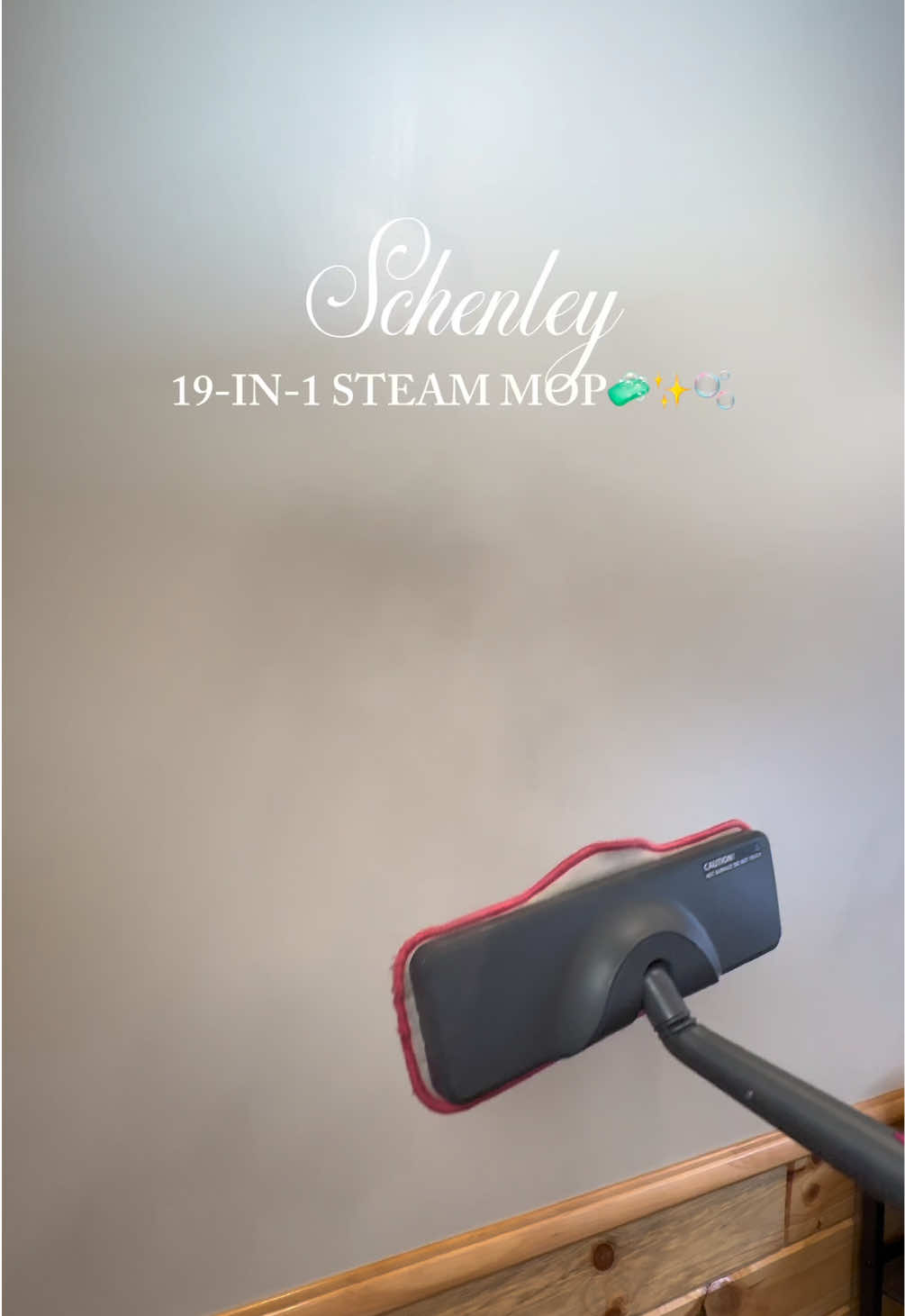 TikTok post by @morganmgrooms for Schenley. Caption reads: My favorite cleaning apparatus from @schenley is....