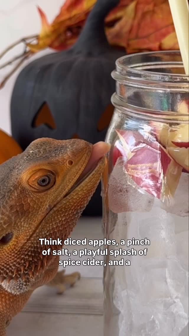 Instagram post by @whosagoodlizard for Vita Coco. Caption reads: Loaded Water but make it autumn 🍂✨ Into the glass....