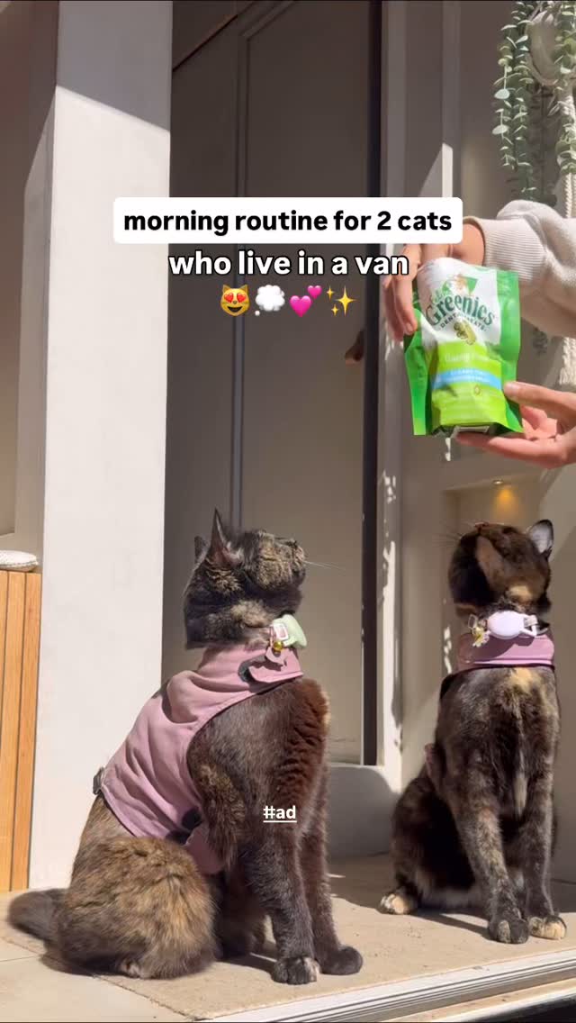 Instagram post by @scarletandseth for Greenies. Caption reads: #ad Spend a morning with the ladies ☺️ one of our....