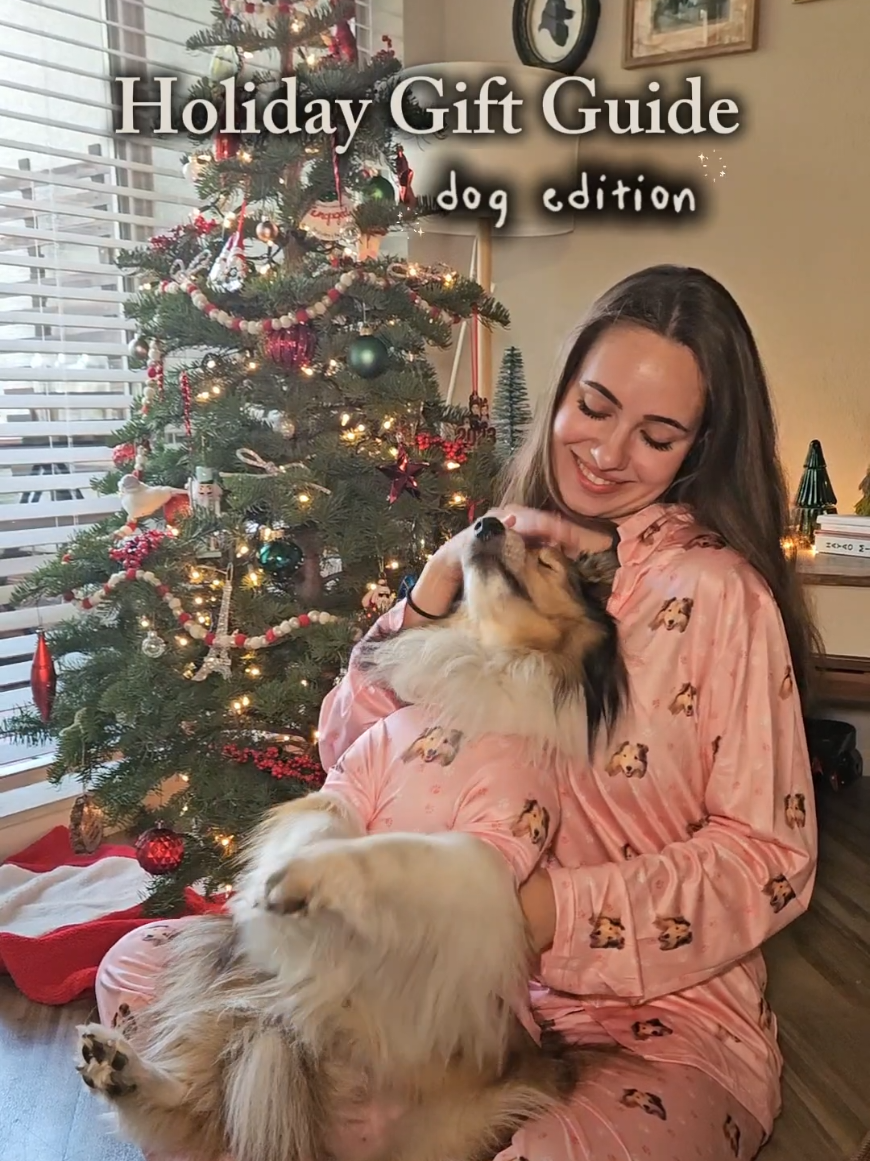 TikTok post by @sheltie_chloe for K9 Ballistics. Caption reads: [...] LOVE and enjoy all year round ♡🎄 @K9....