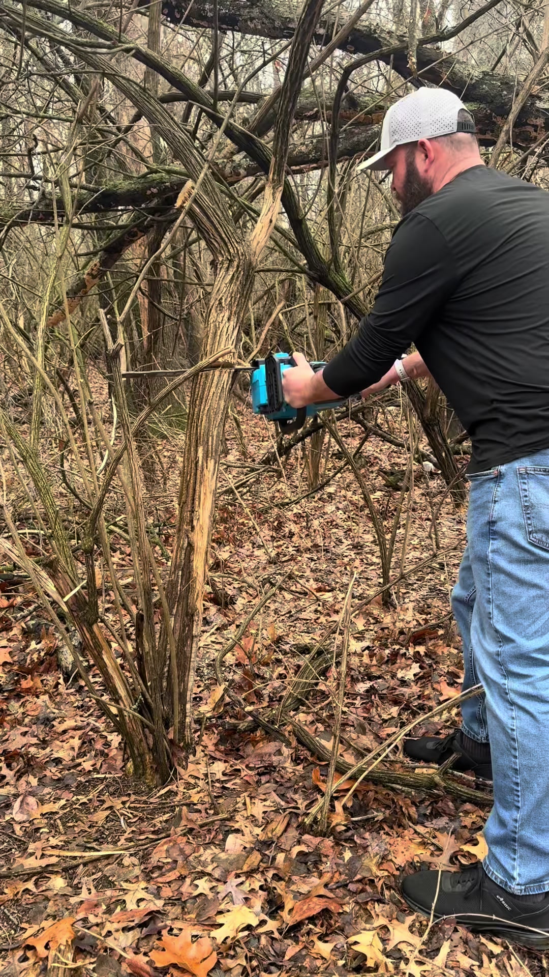 TikTok post by @37yroldgrandparents for Seesii. Caption reads: Electric chainsaw? @Seesii Power Tools @SEESII....