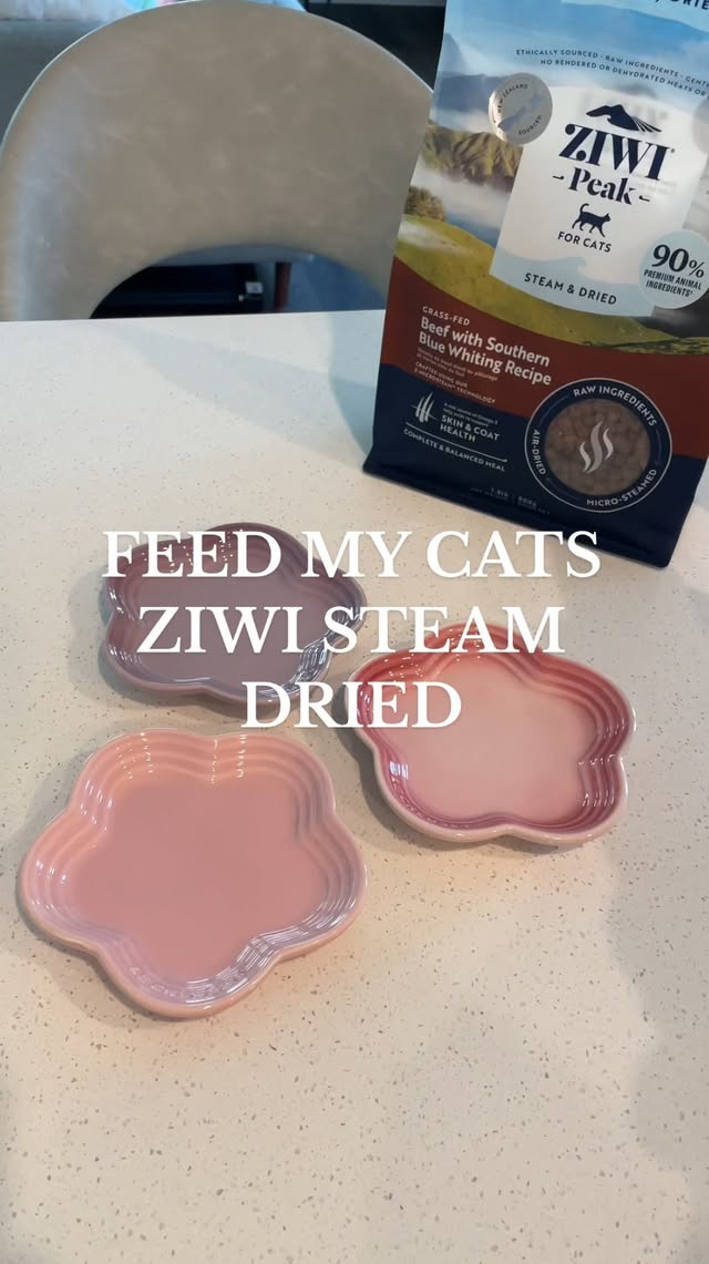 Instagram post by @simple.kitties for ZIWI Pet Food. Caption reads: Today we tried @ziwipetsusa Steam Dried Beef &....