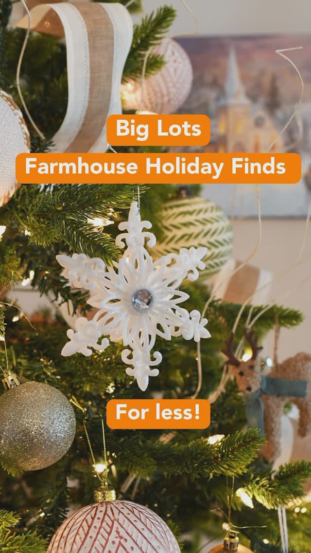 Instagram post by @savvysavingcouple for biglots. Caption reads: Looking for the BEST budget- friendly holiday....