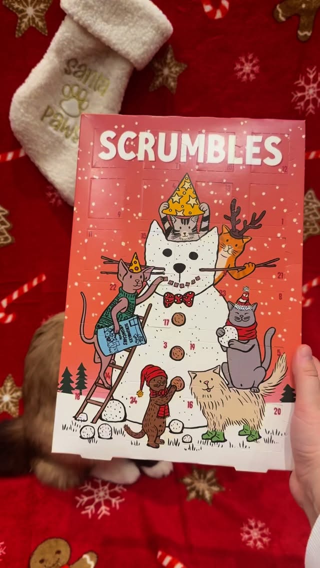 Instagram post by @conkersteddygeorge for Scrumbles. Caption reads: ✨ It might only be September… but Christmas comes....