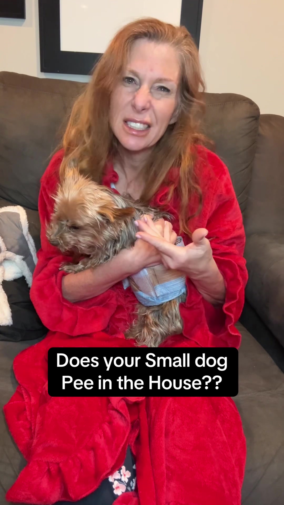 TikTok post by @kristas.kreations for HoneyCarePet. Caption reads: My fur baby is a Small dogs, a Yorkie, and a....