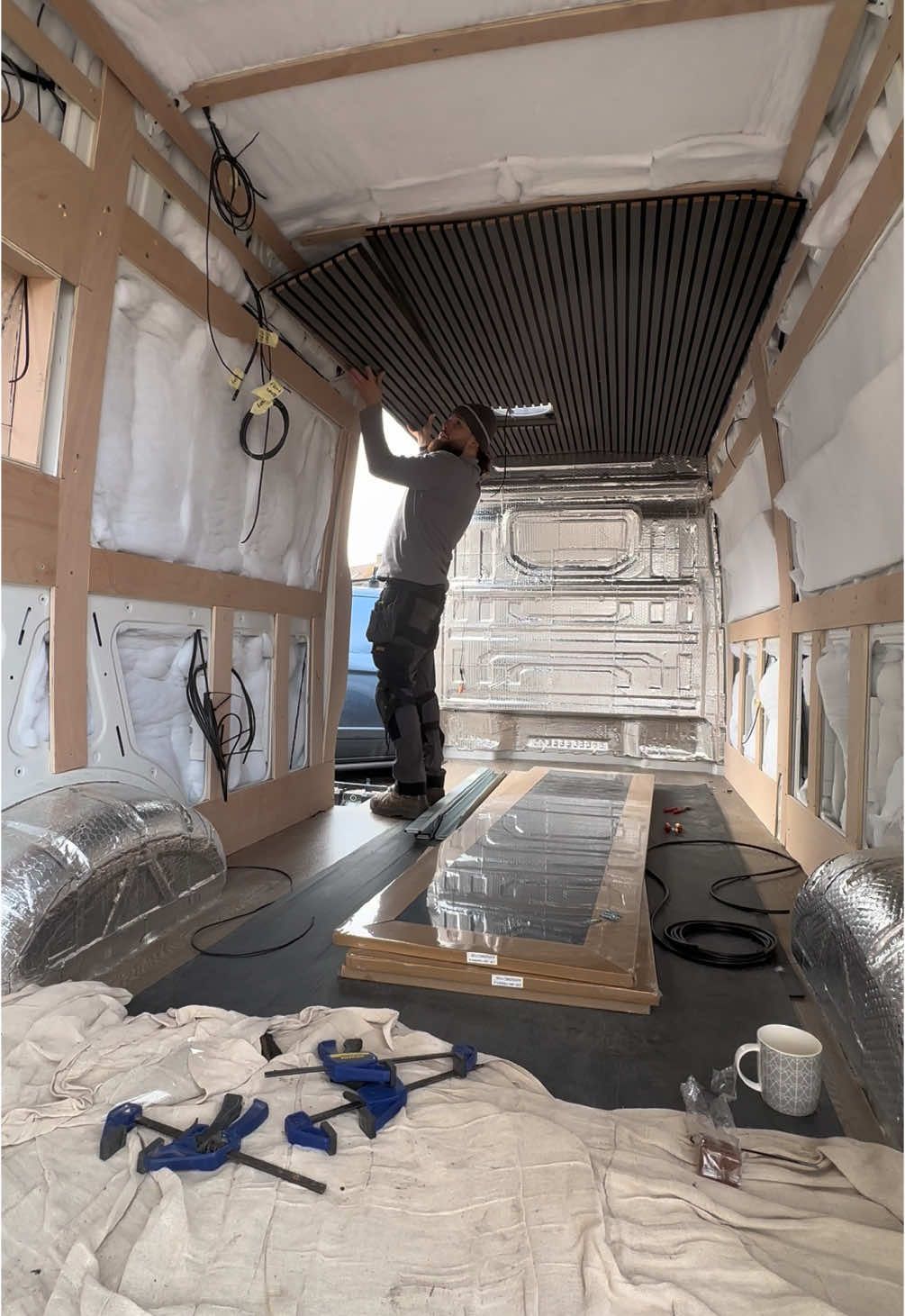 TikTok post by @whyterenovations for DEWALT. Caption reads: Day 10 of the Camper Conversion! Got ourselves....