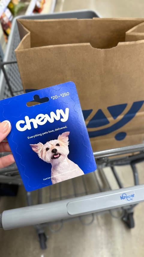 Instagram post by @dani.mccormick for Chewy. Caption reads: [...] already ordering your pup’s food from Chewy,....