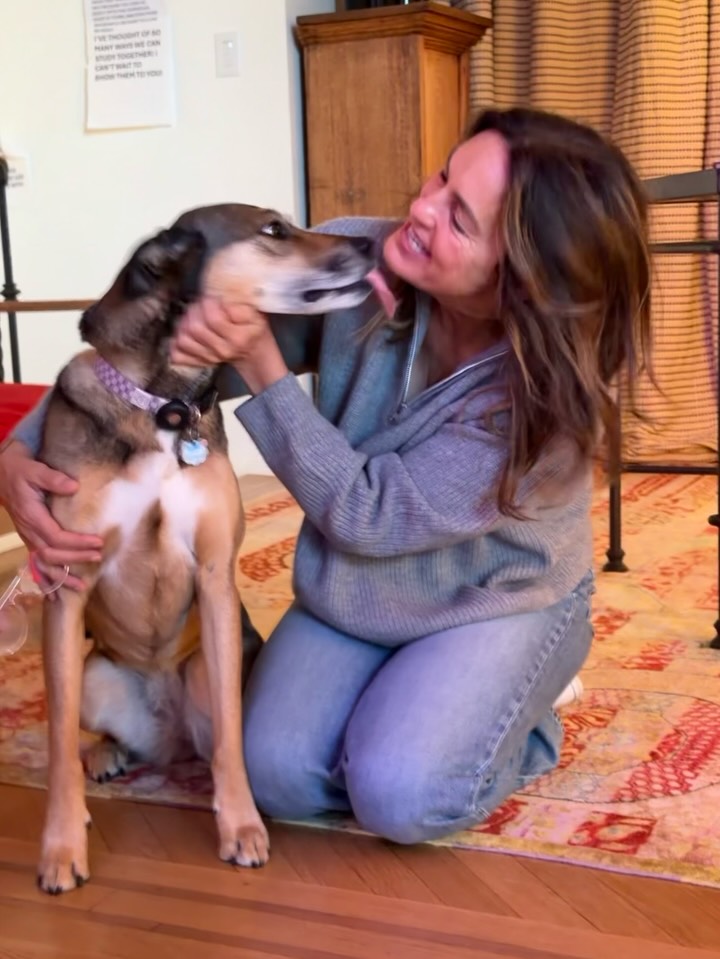 Instagram post by @therealmariskahargitay for Purina. Caption reads: #AD Today is Purple Thursday 💜 A day to remember....