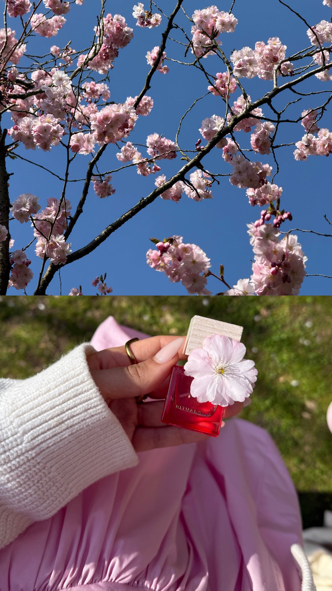 Instagram post by @jennifersaro for Rituals Cosmetics. Caption reads: Werbung • celebrate each day as a new beginning....