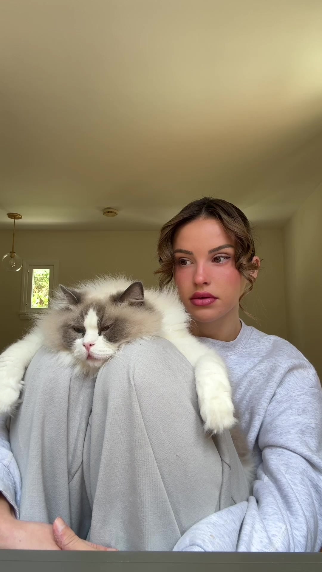 TikTok post by @lyssielooloo for Pacifica Beauty. Caption reads: [...] braids, a cat in a dress, and....