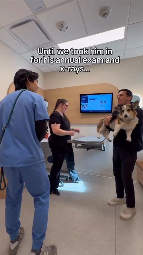 Instagram post by an influencer for Chewy. Caption reads: [...] been longtime customers of @chewy Pharmacy....