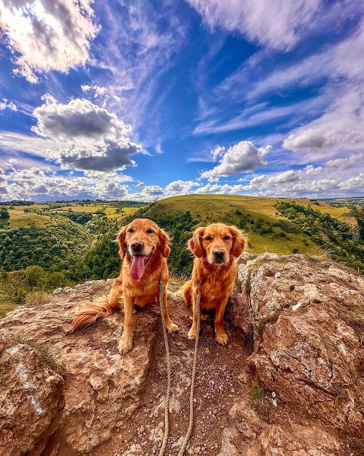 Instagram post by @fredrickandroyston for VisitEngland. Caption reads: Must visit places for the humans add too the list....