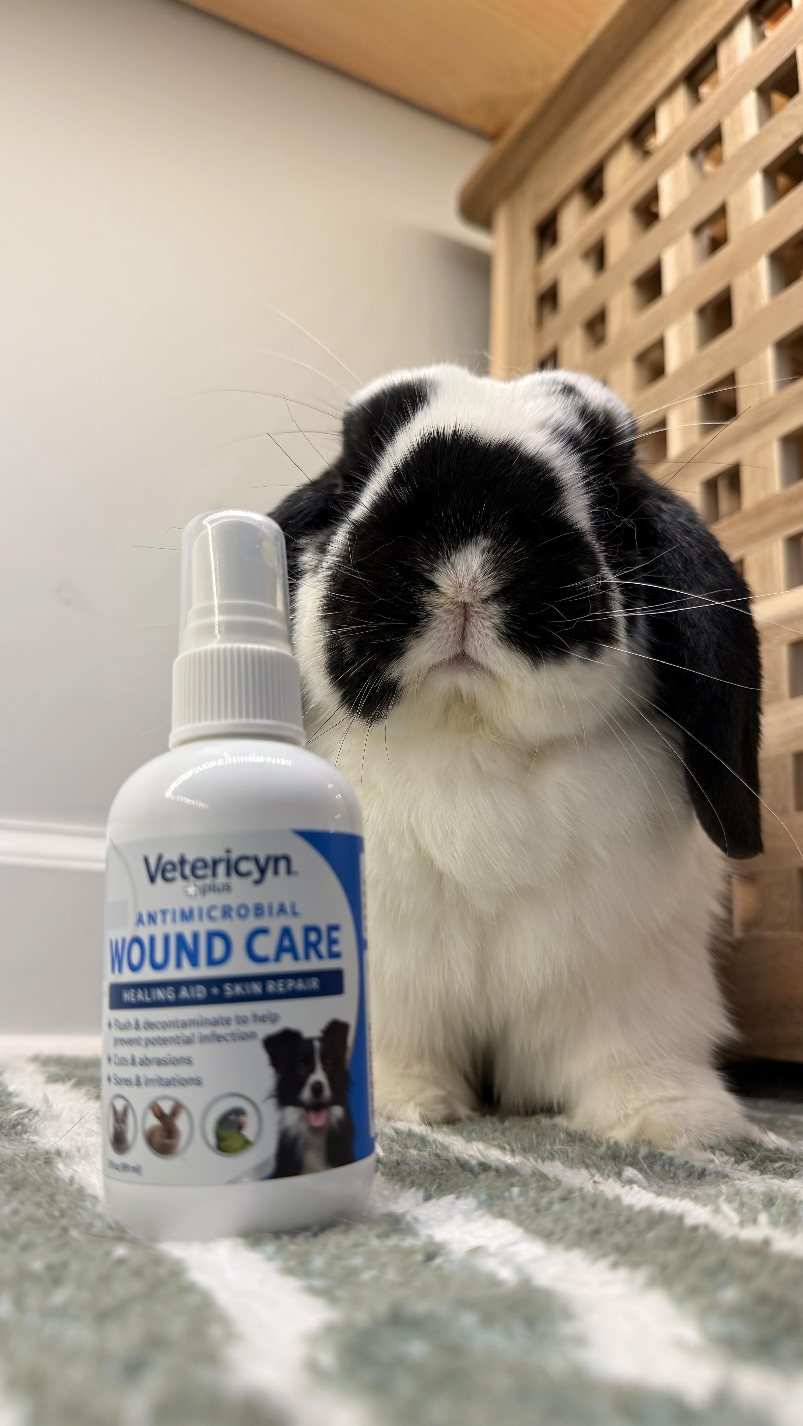 Instagram post by @thelexibunch for Vetericyn. Caption reads: All pets deserve the best care and whether it’s a....